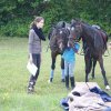 Ponyralley 158